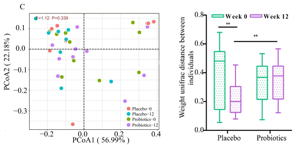 满足多样化支付需求 (推动多样化)-初仟社区